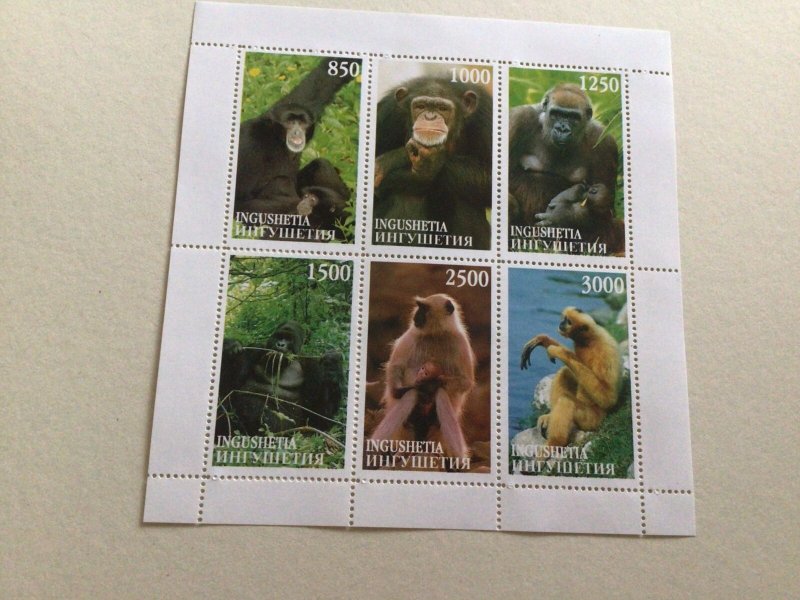 The Animal Kingdom stamp sheets Ref R49285