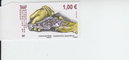 2012 FSAT French Antarctic Colin Austral Fish Scott 474 MNH