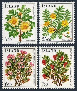Iceland 586-587, 593-594, MNH. Michel 612-613, 619-620. Flowers 1984.