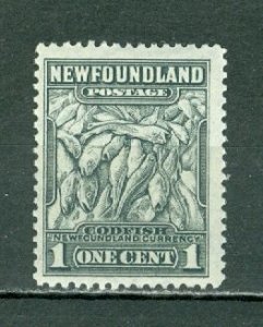 NEWFOUNDLAND 1941 FISH #253 VF PERF 12.5...  MNH