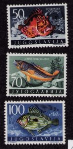 Yugoslavia 458-460 Fish High Value Stamps Mint Hinged 1956
