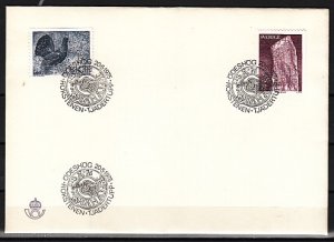 Sweden, Scott cat. 1119-1120. Bird & 9th Century Stone issue. First day cover. ^