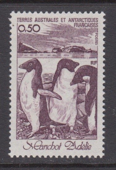 French Southern & Antarctic Territories   #89    mnh      cat $1.10