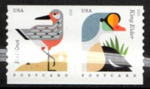 US Stamp #4997-4998 MNH - Coastal Birds Non-Denominated Coil Pair