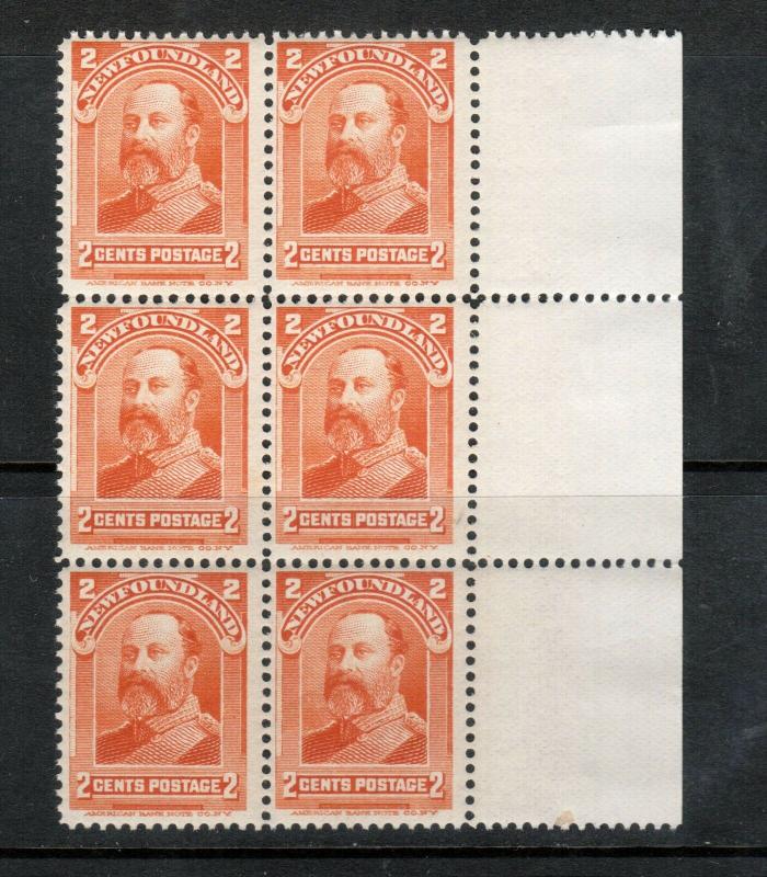 Newfoundland #81 Mint Fine - Very Fine Never Hinged Block Of Six