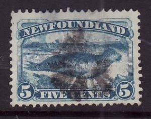 Newfoundland-Sc#53-used  5c pale blue Seal-Nfw250 -