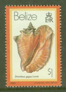 BELIZE  Scott 484 MNH** Shell stamp 1980 CV $6