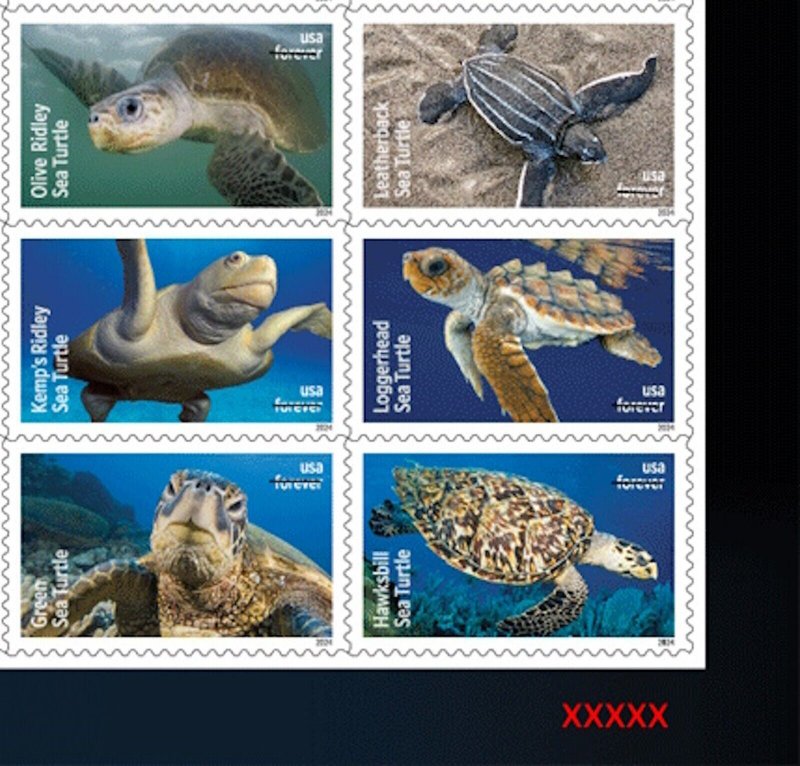 US 5865-5870 5870b Protect Sea Turtles F plate block 6 LR MNH 2024 after 6/15