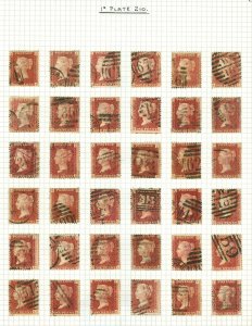 6 album pages. SG 43 1d rose-red plate 210 sheet reconstruction of 240. Good...