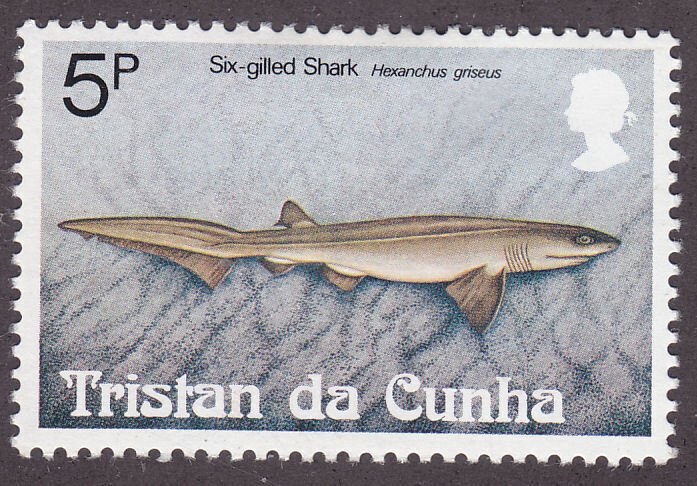 Tristan Da Cunha 302 Six-Gilled Shark 1982