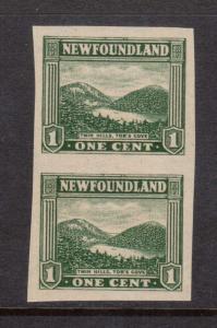 Newfoundland #131b XF/NH Imperf Pair