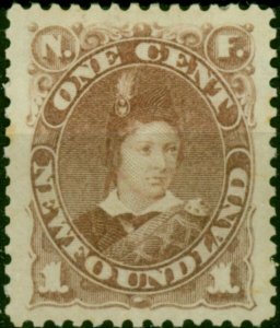 Newfoundland 1880 1c Red-Brown SG44b Fine MM (3)