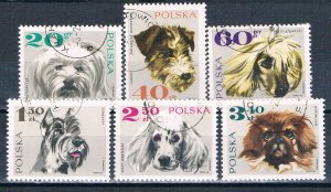 Poland 1636-21 Used Dogs 1969 (P0354)