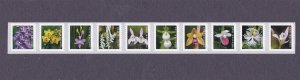 Coil Strip (10) 55c Wild Orchids US 5435-5444, 5444a MNH Scott Order Mailed Flat