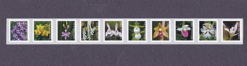 Coil Strip (10) 55c Wild Orchids US 5435-5444, 5444a MNH Scott Order Mailed Flat