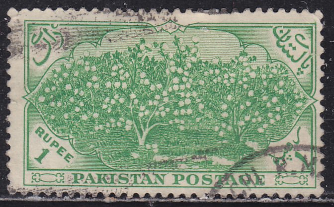 Pakistan 71 Cotton Plantation 1954