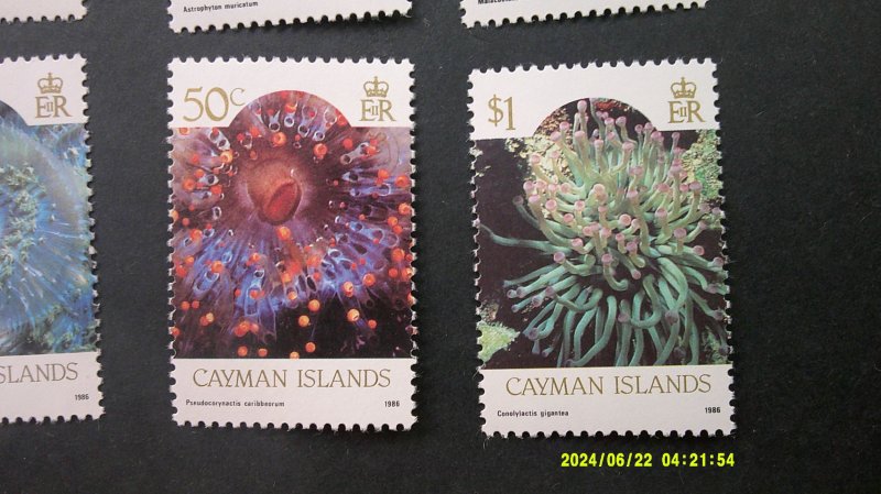 Cayman Islands 1986 Sealife Definitive Issue Scott# 562-573 complete MNH XF (12)