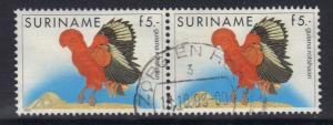 Surinam  #728  used  1986  birds  5g  pair