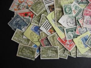 Canada 100 Nova Scotia cancels (mostly CDS) mixture (duplicates,mixed cond)