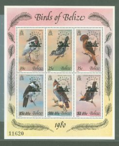 Belize #502 Mint (NH) Souvenir Sheet