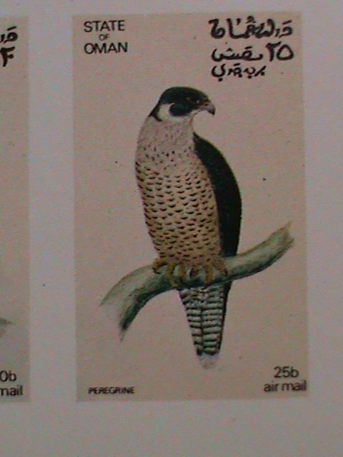 ​OMAN-1973 WORLD FAMOUS LOVELY BIRDS MNH IMPERF SHEET- WE SHIP TO WORLD WIDE