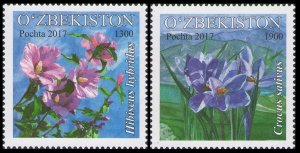 2017    Uzbekistan     1184-85    Flora of Uzbekistan