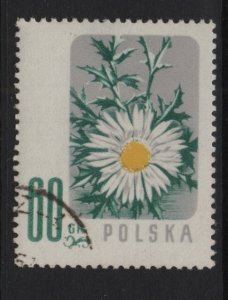 Poland  #783   cancelled  1957   flowers  60g  sea holly
