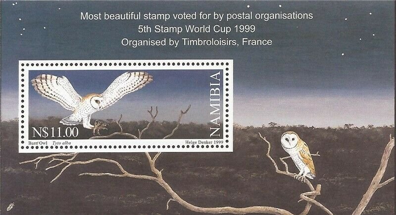 Namibia - 1999 Western Barn Owl - Stamp Souvenir Sheet - Scott #950