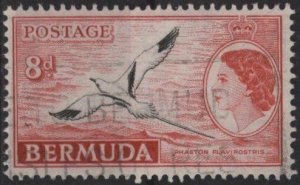 Bermuda 153 (used) 8p Elizabeth II & Phaeton flavirostris, red & black (1955)