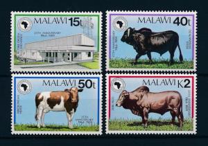 [50862] Malawi 1989 Cow Cattle African development bank MNH