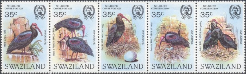 Swaziland Scott #'s 448 MNH