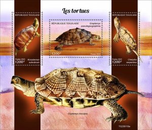 Togo - 2023 Turtles, Common Snapping Turtle - 3 Stamp Sheet - TG230110a