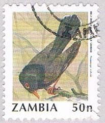 Zambia Bird 50 2 (AP112721)