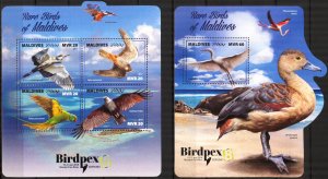 Maldive Islands 2017 Rare Birds Sheet + S/S MNH