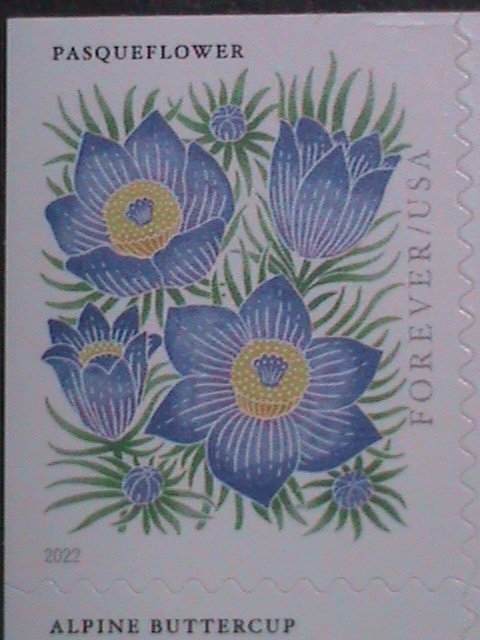 ​UNITED STATES-2022 MOUNTAIN FLOWERS-FIRST CLASS FOREVER MNH BOOKLET-20 STAMPS