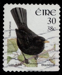 IRELAND QEII SG1430, 2001 30p/38c blackbird, FINE USED.