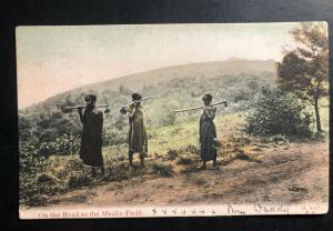 1907 Cape Of good Hope South Africa RPPC Postcard Cover to England Mealie field