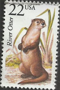 # 2314 USED RIVER OTTER