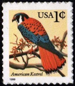 SC#3031 1¢ American Kestrel Single (1999) SA