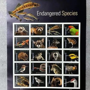 Endangered Species 5 Sheets Of 100Pcs