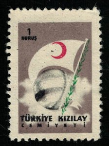 Turkey, 1 kurus (RТ-569)