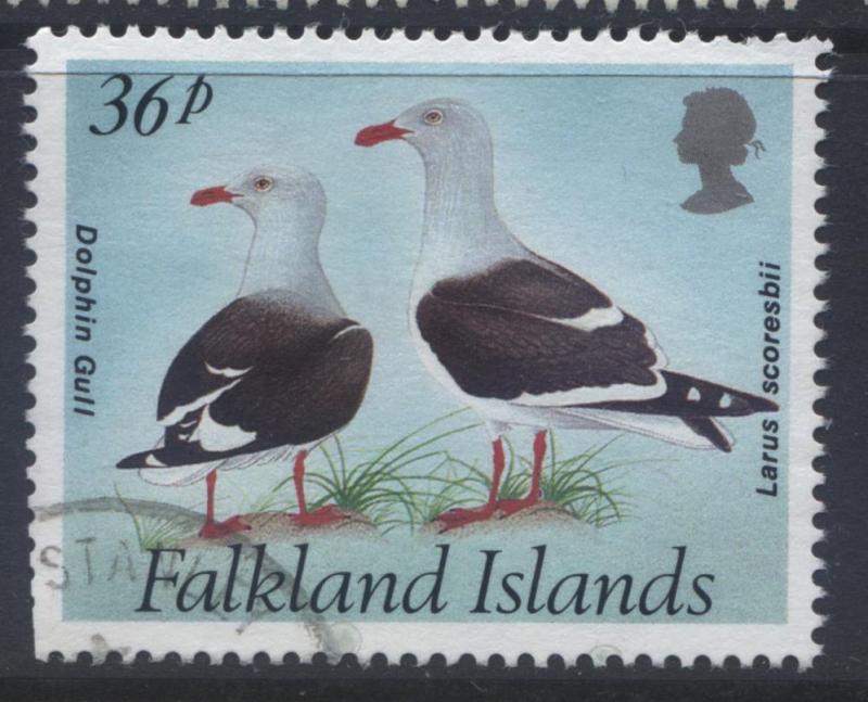 Falkland Is.- Scott 570- Dolphin Gull - 1993- VFU - Multi - 36p Stamp