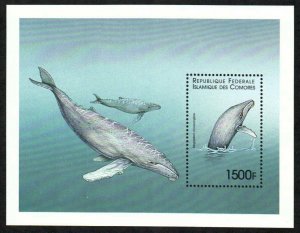 Comoro Stamp 889  - Humpback whale