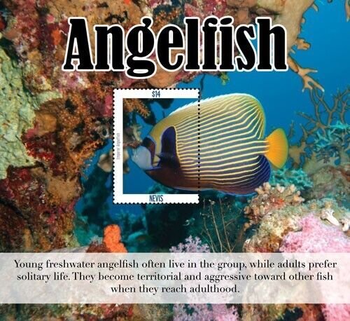 Nevis 2019 - Angelfish - Souvenir stamp sheet - Scott #2001 - MNH