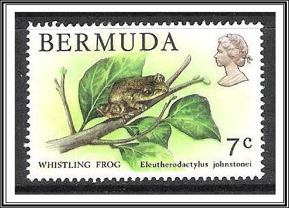 Bermuda #366 Tree Frog NG