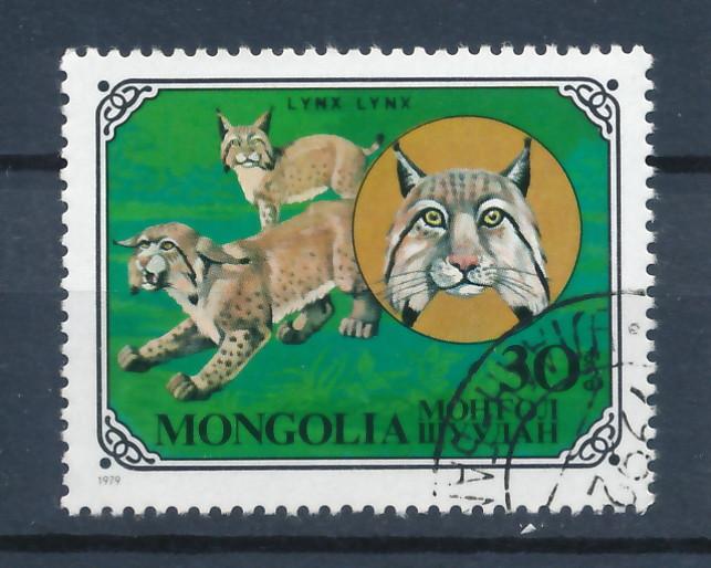 Mongolia 1979 Scott 1090 CTO - 50m, wild cat, lynx