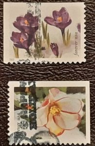 US Scott # 5729,5730; two used (60c) Snowy Beauty, 2022; VF/XF; off paper