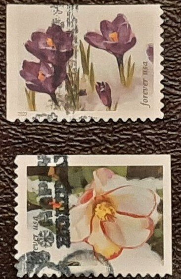 US Scott # 5729,5730; two used (60c) Snowy Beauty, 2022; VF/XF; off paper