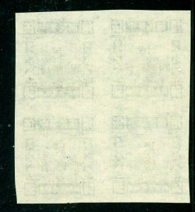 Central China 1949 Liberated Train 2 Yuan/50c Imperf Block MNH L890 ⭐⭐⭐⭐⭐⭐