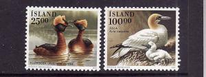 Iceland-Sc#721-2-unused NH set-Birds-1991-